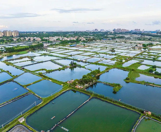 Aquaculture (fish ponds, shrimp ponds)