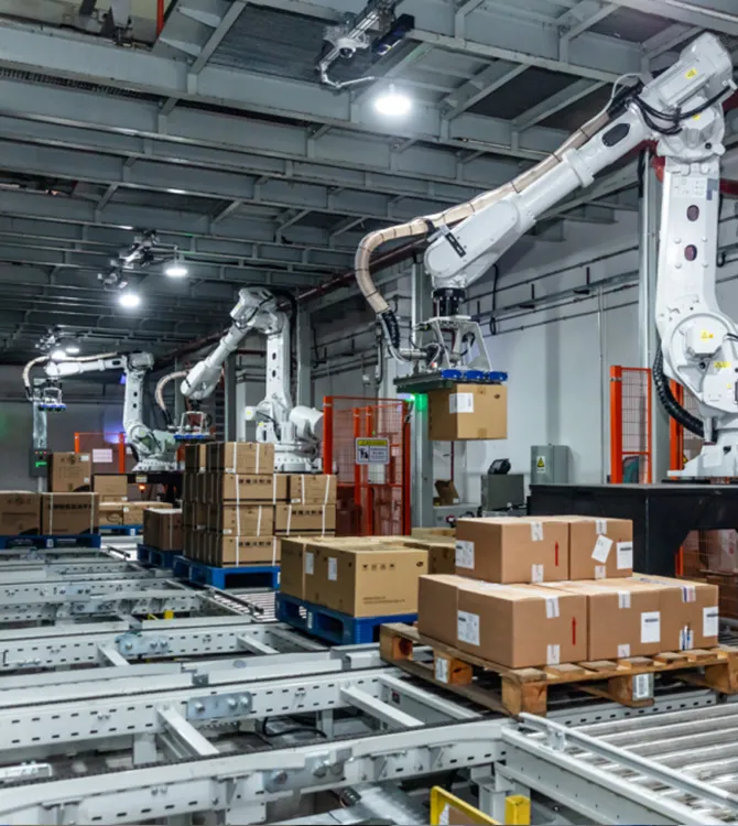 Cold Chain Warehousing Industry: Palletizing of Frozen Food Trays