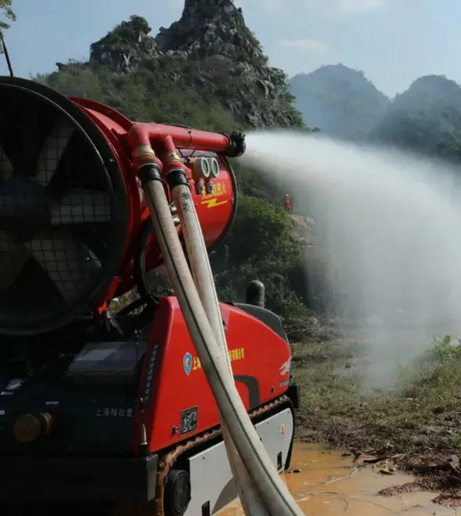 Forest and Grassland Fires