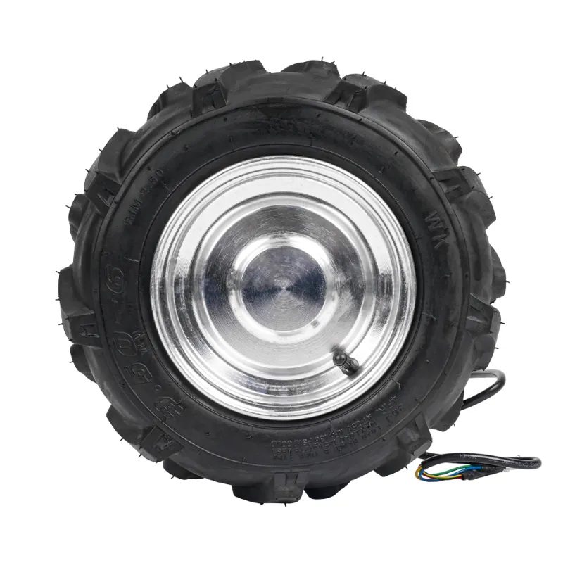 12 Inch Geared Hub Motor