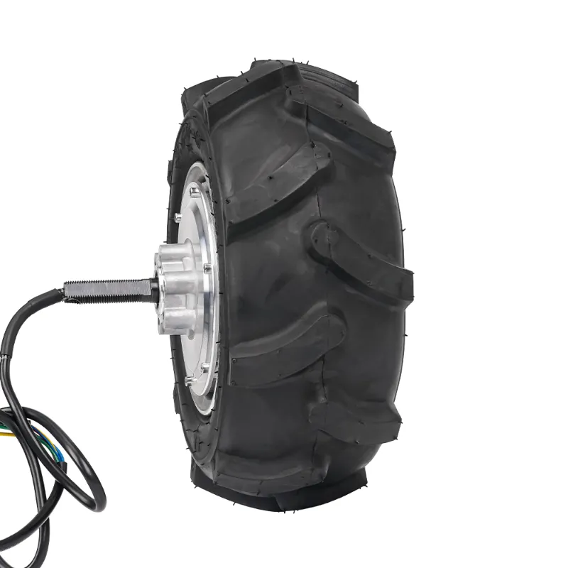 12 Inch Geared Hub Motor