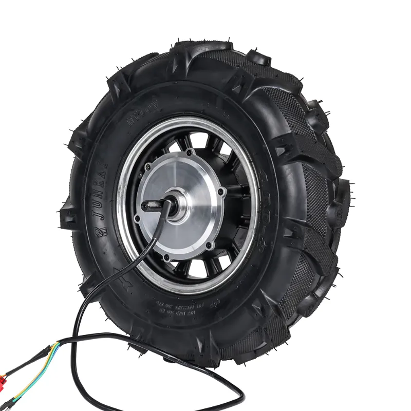 16 Inch BLDC Hub Motor