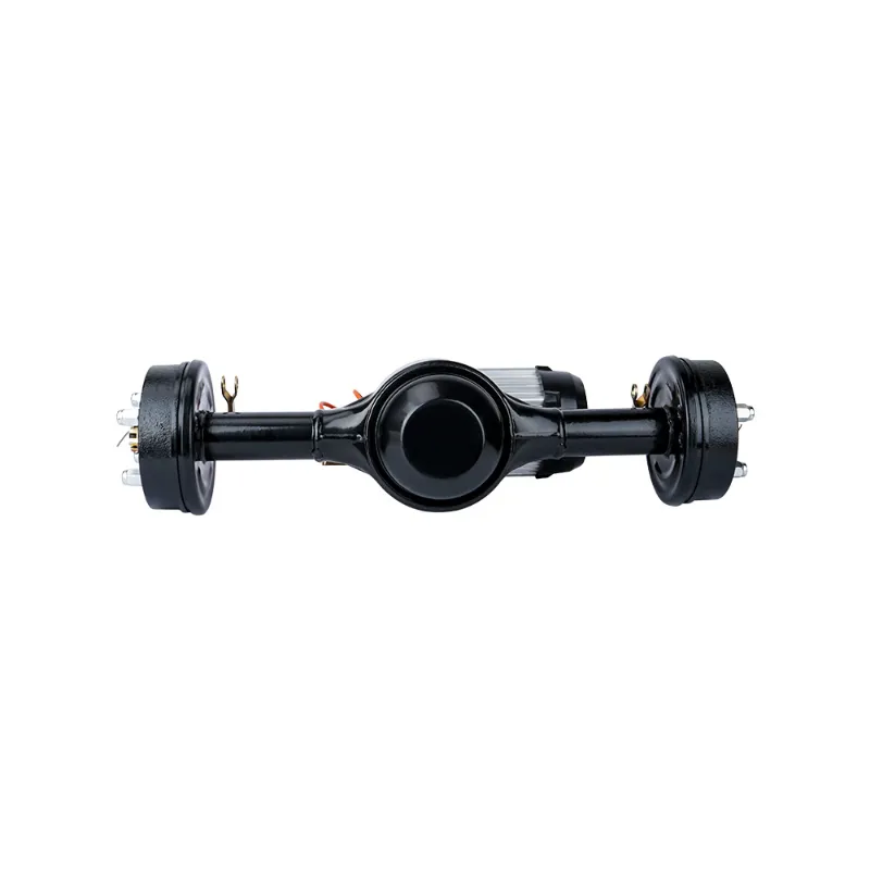 Elctric Drive Rear Axle