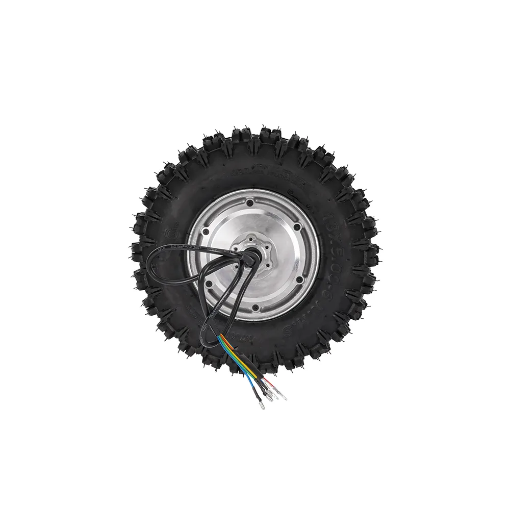 13 Inch High Torque Hub Motor