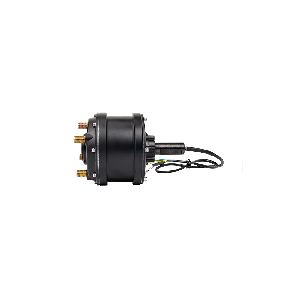 Electric Geared Hub Motor