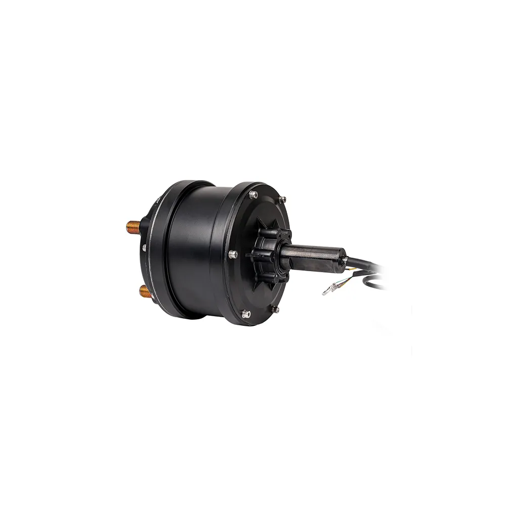 Electric Geared Hub Motor