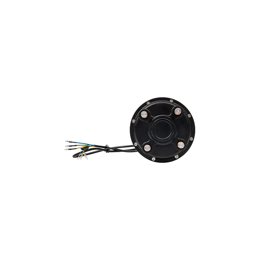 Electric Geared Hub Motor