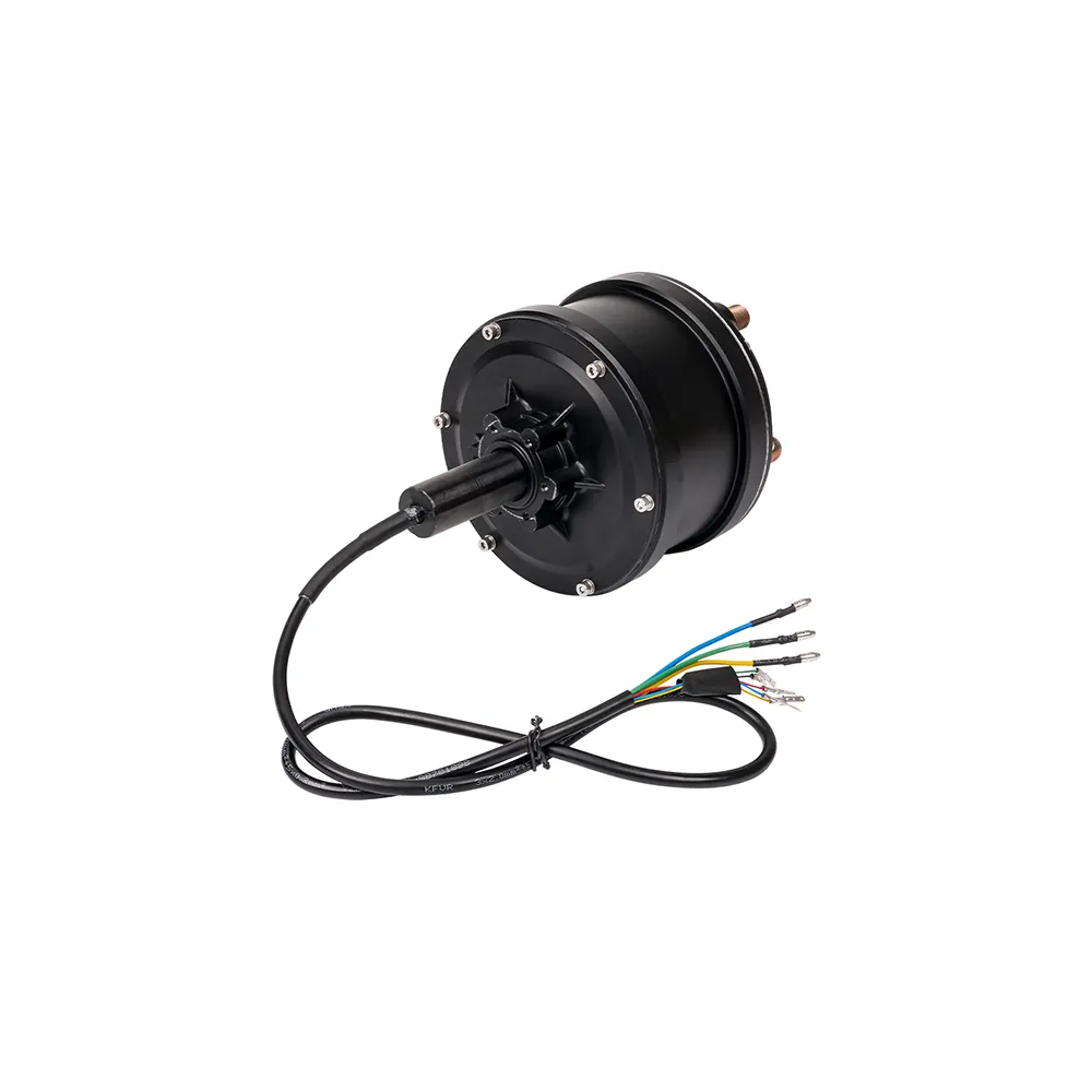 Electric Geared Hub Motor