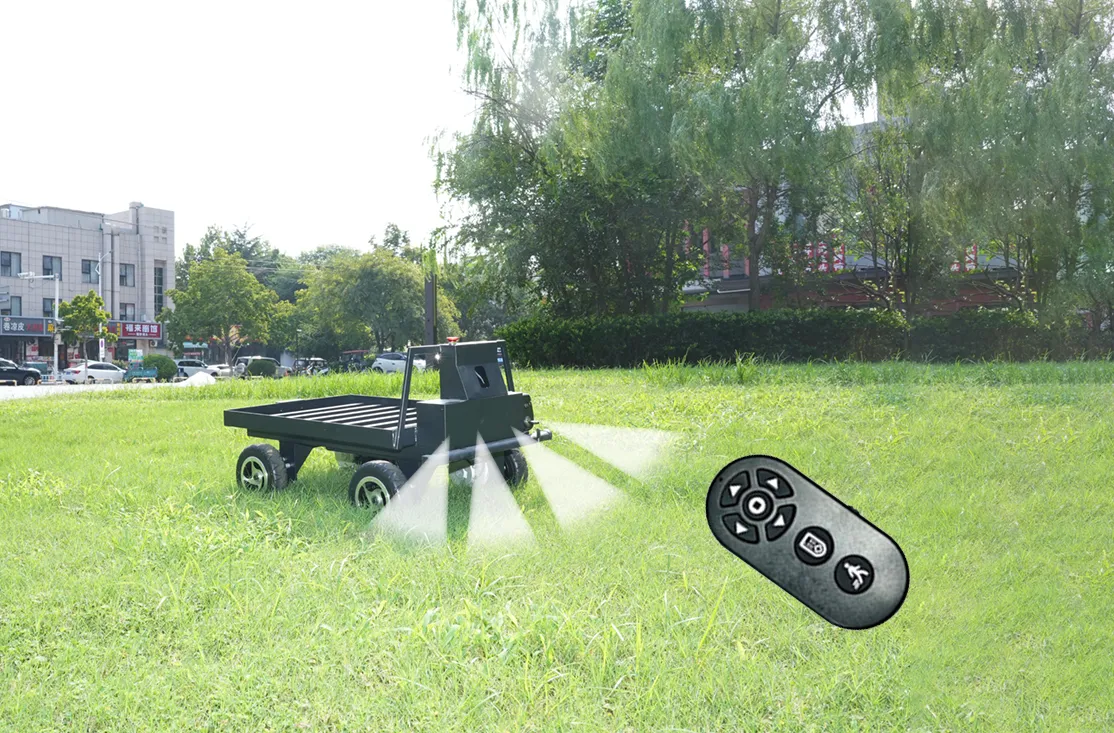 Autonomous following system