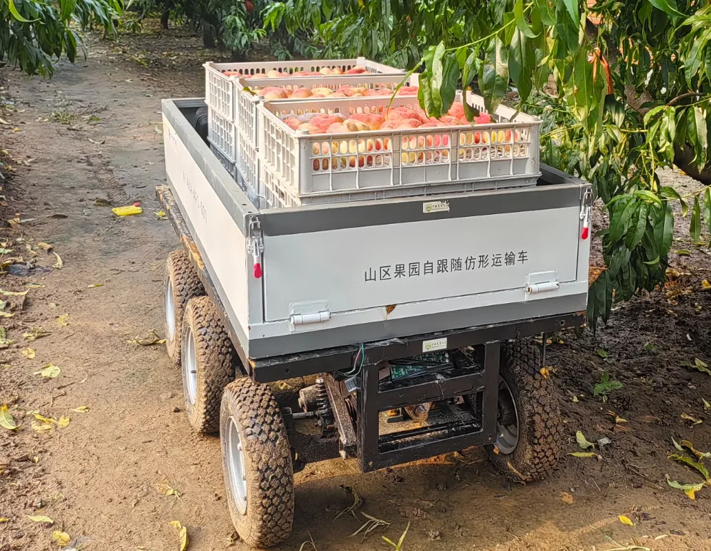 Relationship Between “Load Capacity” and “Obstacle-Crossing Performance” of Robot Chassis