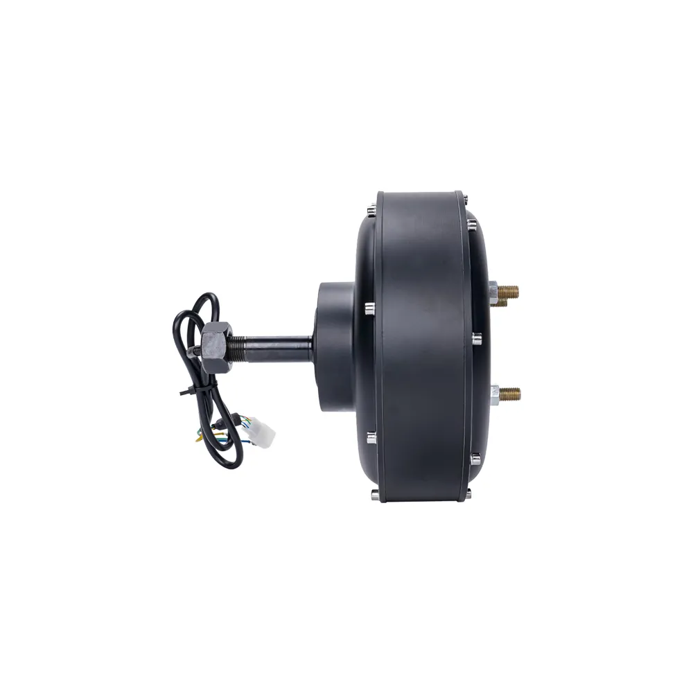 Electric Brushless Gearless Hub Motor