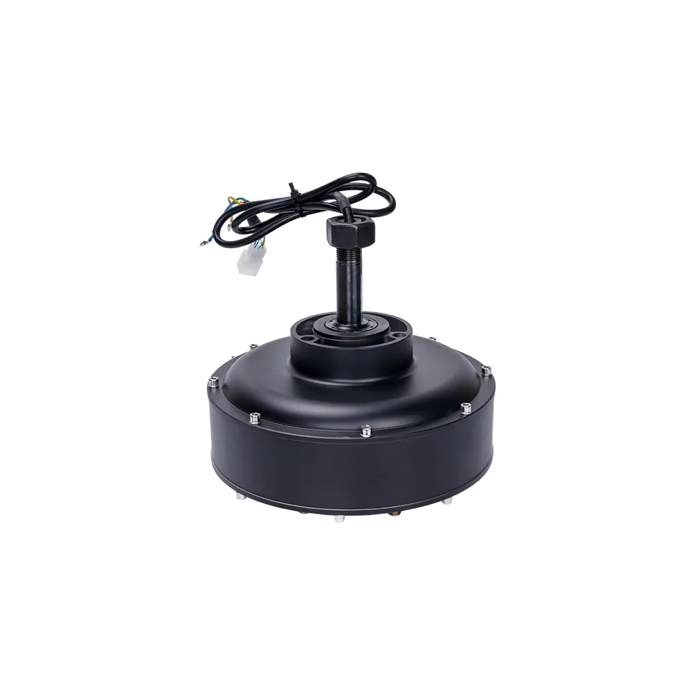 Electric Brushless Gearless Hub Motor