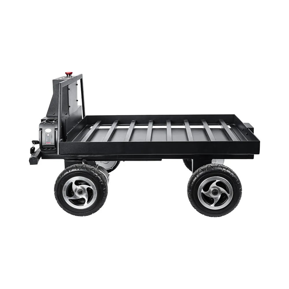 4WD Automatic Human Following Robot