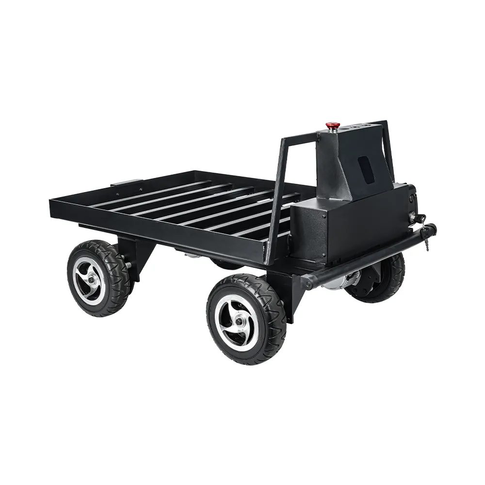 4WD Automatic Human Following Robot