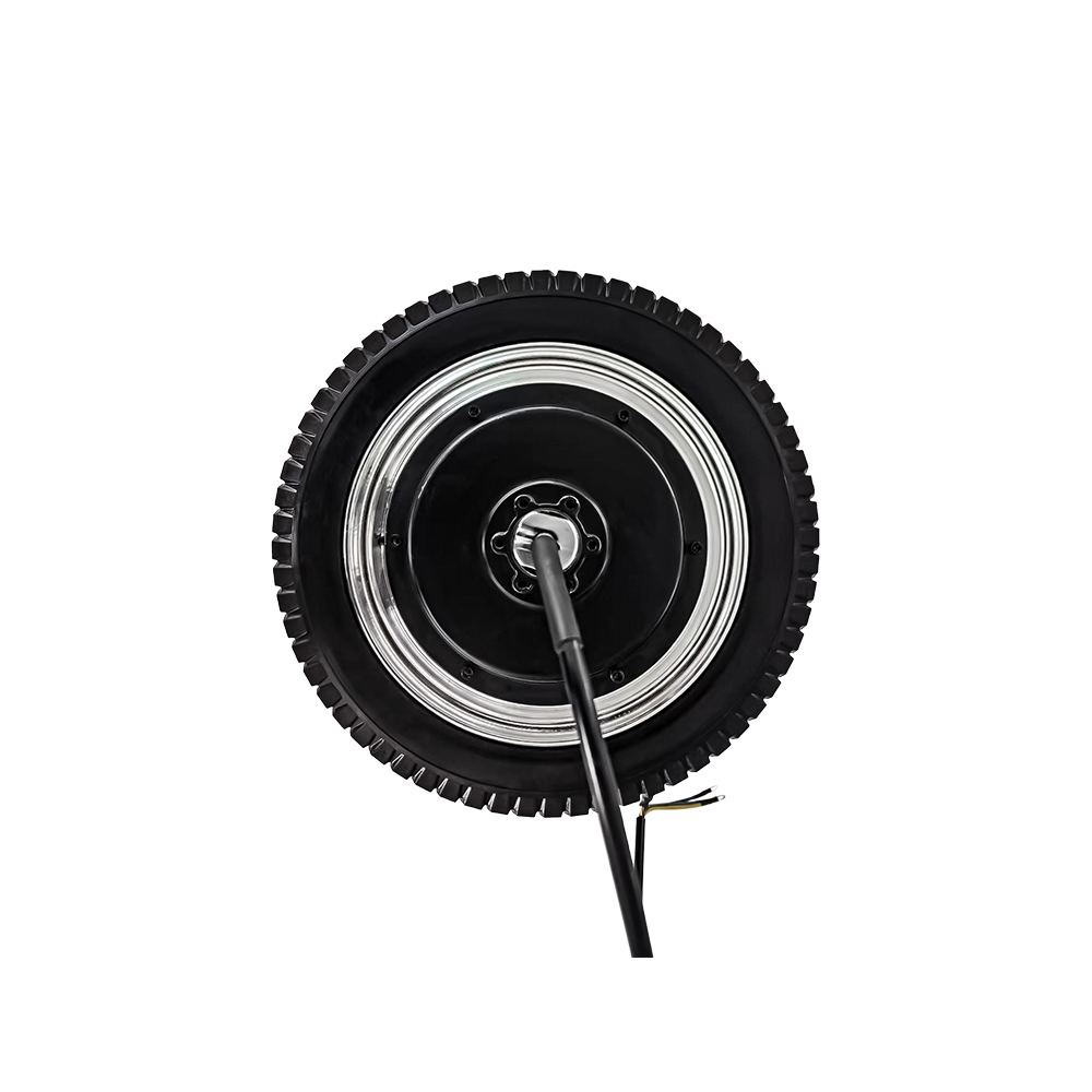 Hub Motor