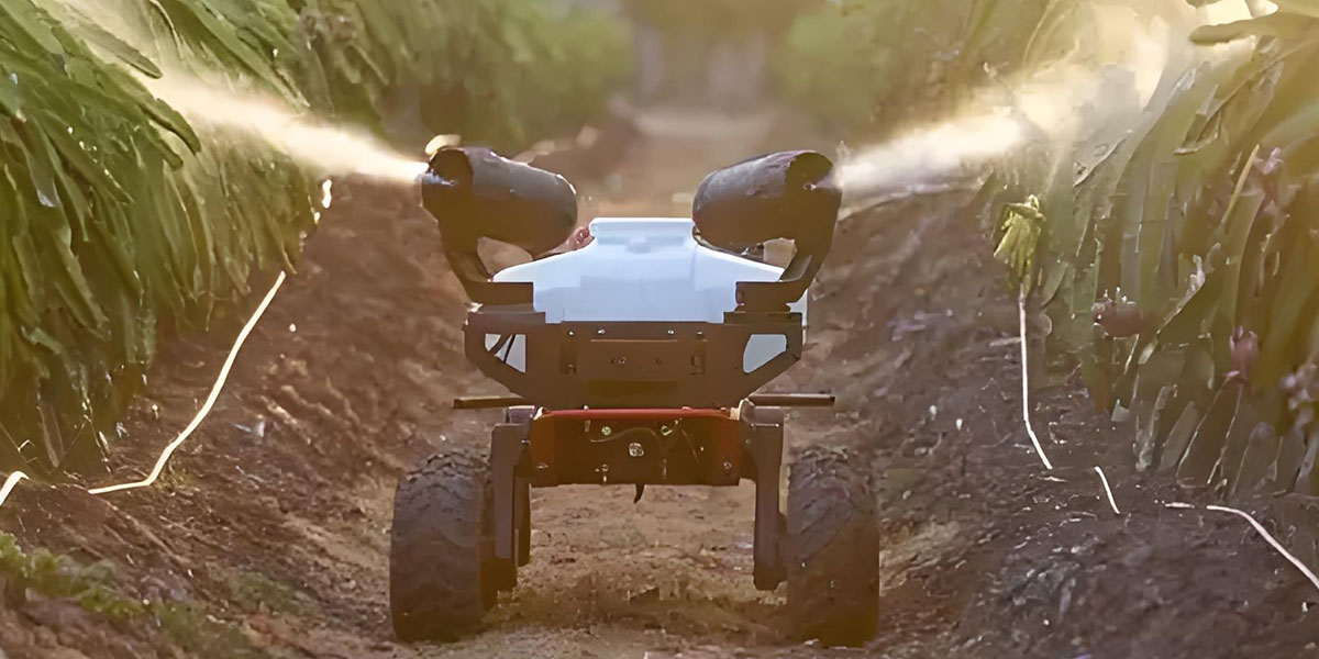 Wheeled Robots: What Types Are There?cid=5