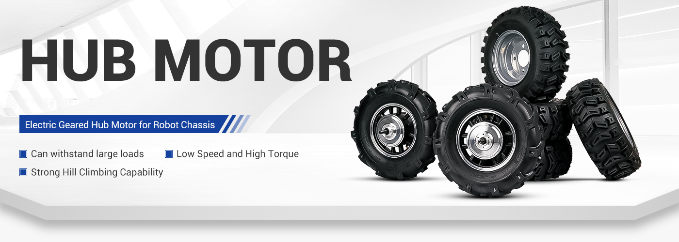 10 Inch Electric Wheel Hub Motor