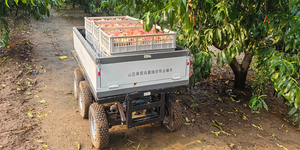 Relationship Between “Load Capacity” and “Obstacle-Crossing Performance” of Robot Chassis