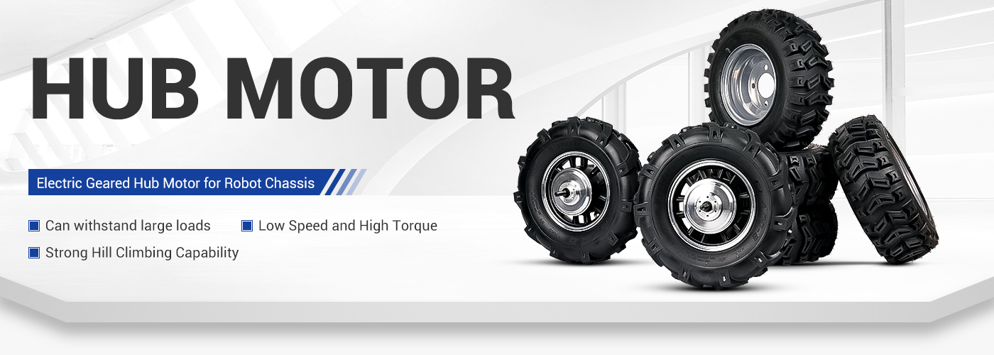 14.5 Inch Wheel Hub Motor