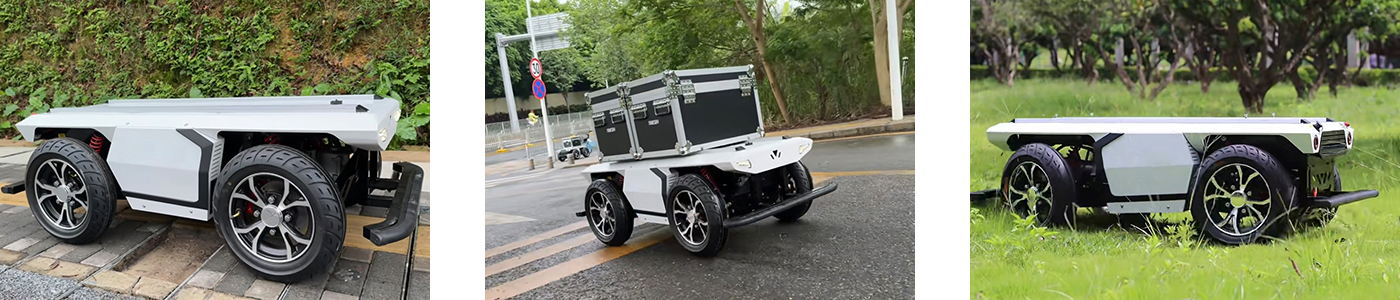 2wd Ackermann Steering Robot Chassis