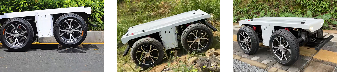 2wd Robotic Mobility Platform